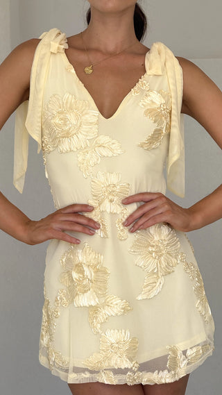 Sylvie | Mini Dress